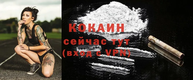 как найти   Никольское  Cocaine 98% 