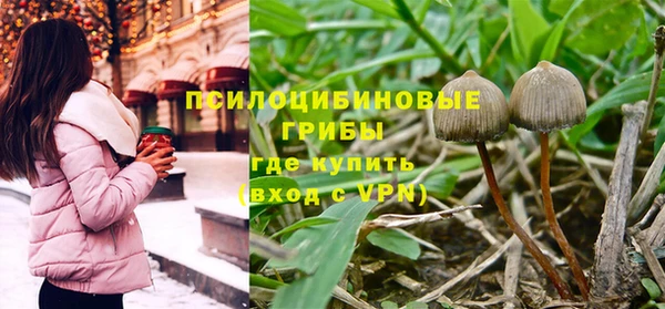 дмт Нефтекумск