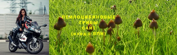 бутират Новодвинск